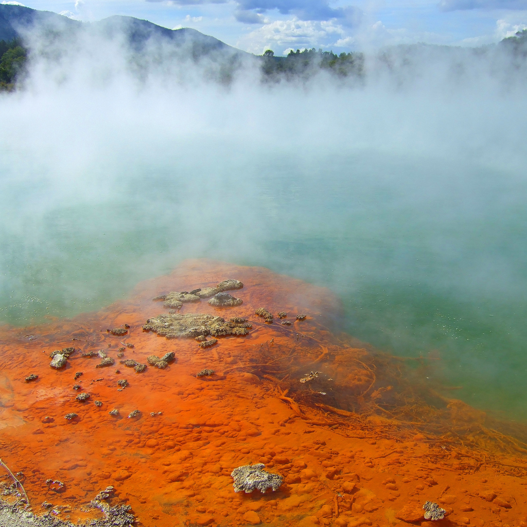 Rotorua: The Geothermal Wonderland