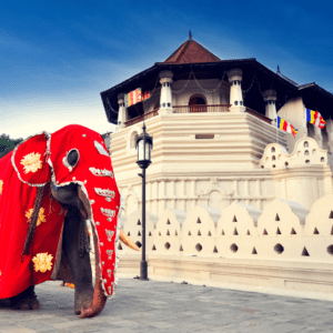 Kandy: The Cultural Heart