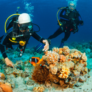 Scuba Diving and Snorkeling, Havelock and Neil Islands