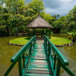 Pamplemousses Botanical Garden: A Tropical Wonderland