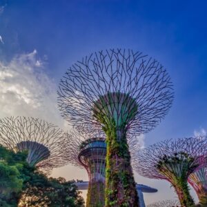 Singapore 6