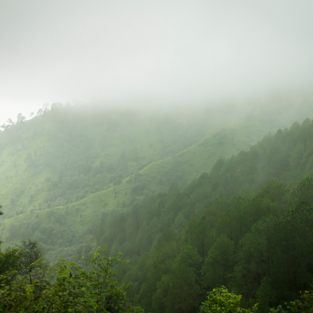 Shimla: The Queen of Hills