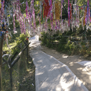 Ranikhet – The Queen’s Meadow