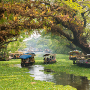 Alleppey: The Venice of the East