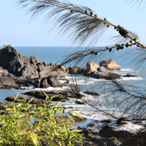 Gokarna