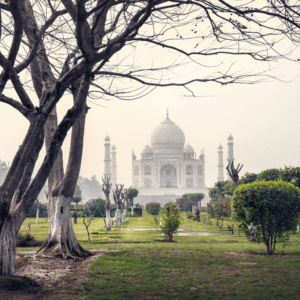 Mehtab Bagh: A Scenic Garden