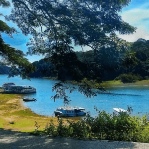 Thekkady: A Wildlife Enthusiast’s Dream