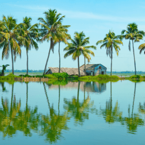 Kumarakom: Backwater Bliss